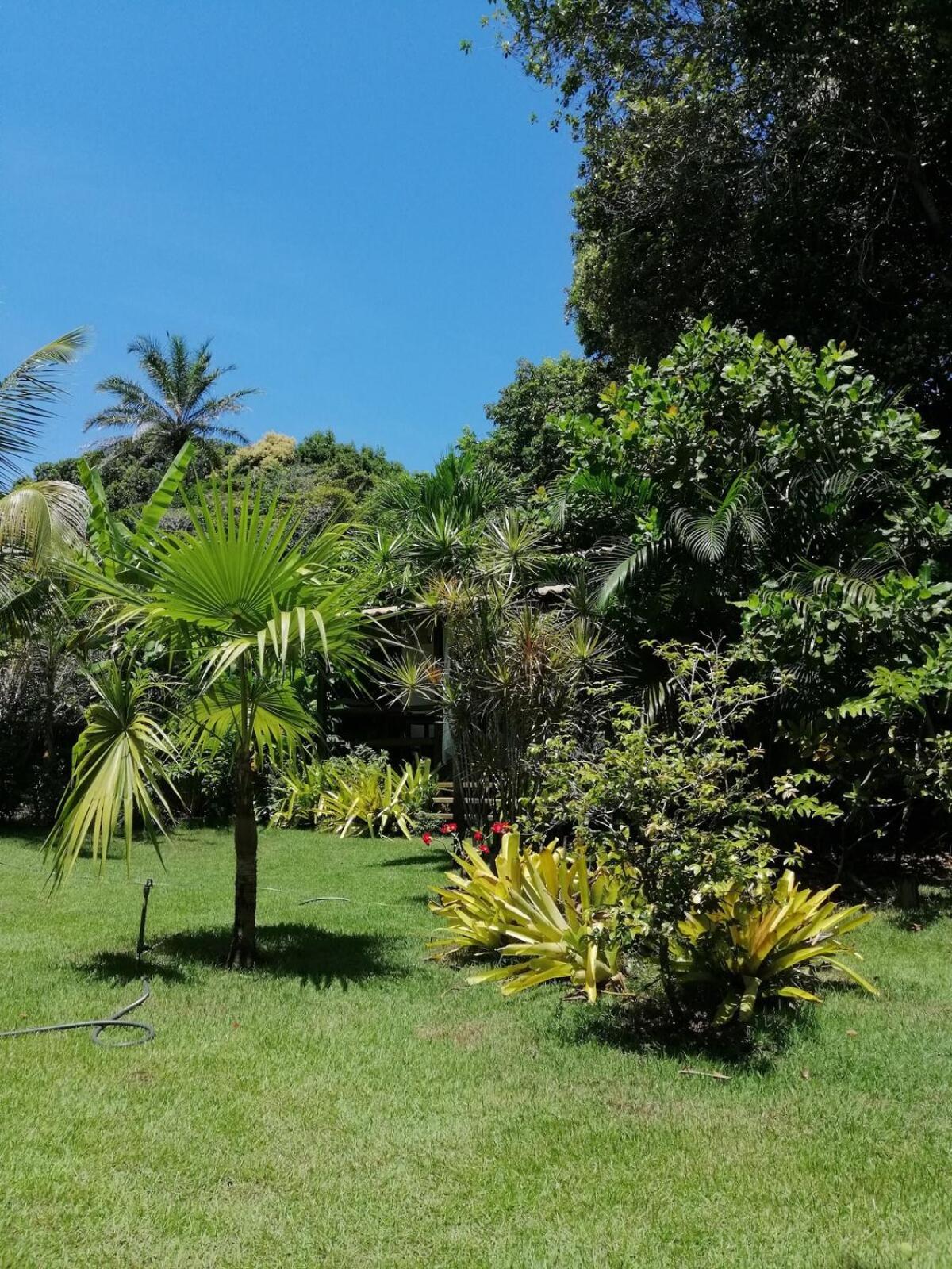 Privacidade, Sossego E Axe Em Taipu De Fora Barra Grande  Exteriör bild
