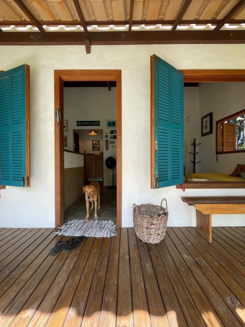 Privacidade, Sossego E Axe Em Taipu De Fora Barra Grande  Exteriör bild
